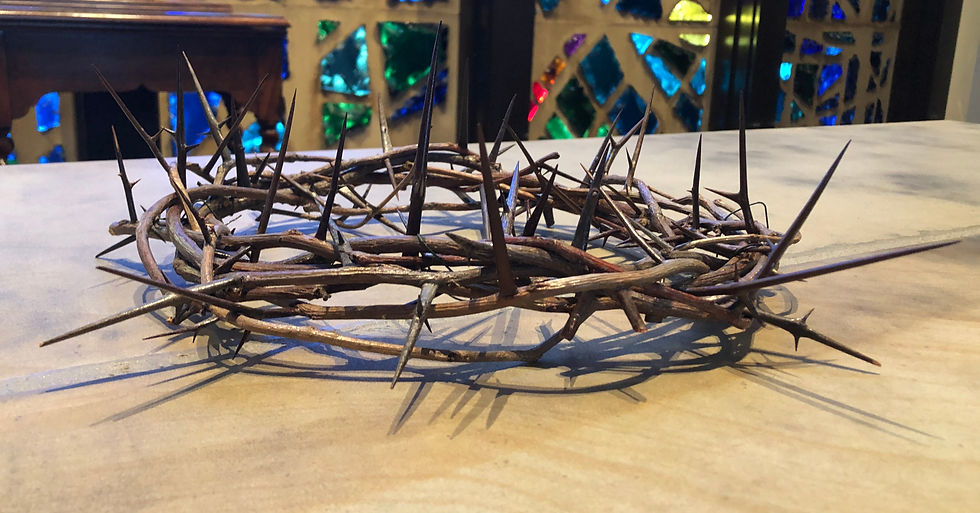 Crown of thorns_edited