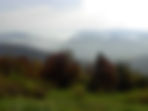 Herbstimpressionen