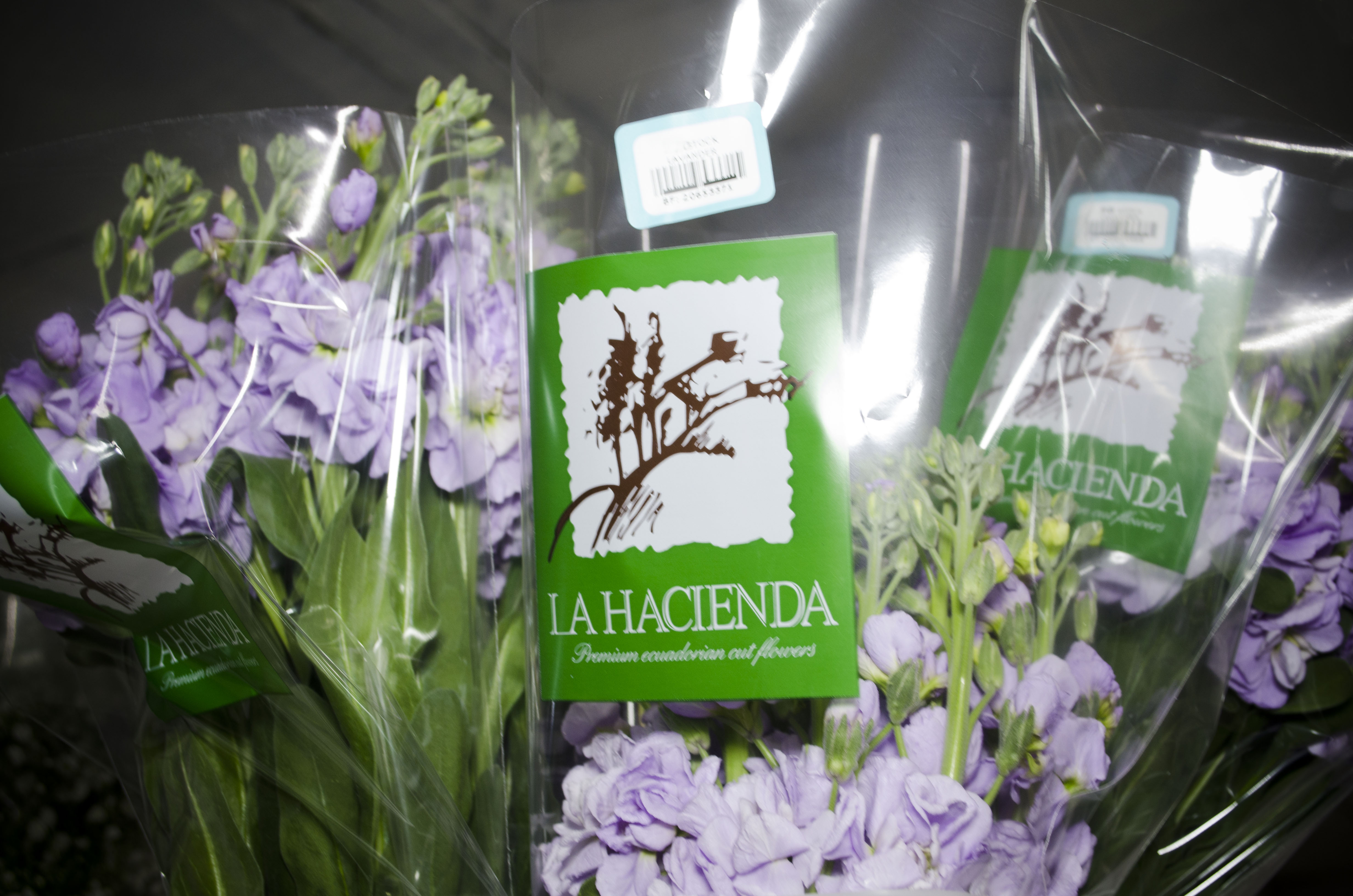 La Hacienda Flowers Summer flowers Roses Ecuador