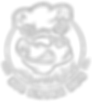 The Aviator experience, tauranga, tauranga airport, christmas party, christmas parties, work function, business event, social club, birthday party, venue hire, room for hire, office christmas party