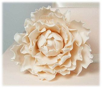 Cake decorating classes , Scotland, Glasgow and Edinburgh