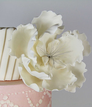Cake decorating classes scotland bespoke cakes for all ...