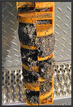 image-filter-01.jpg
