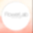 Flower Lab Logo.jpeg