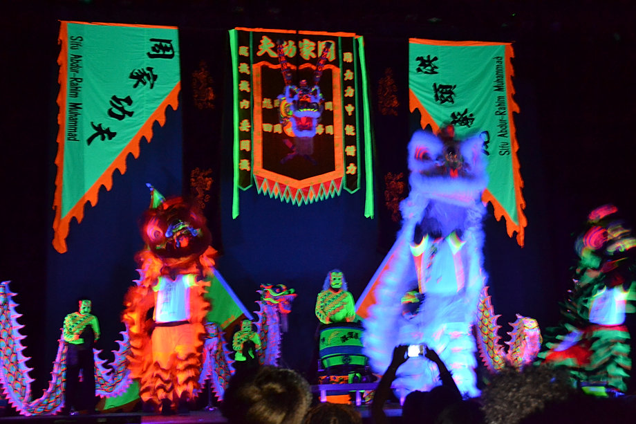 Lucky Lions