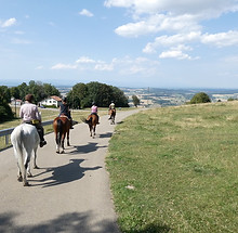 chevaux_rando.jpeg