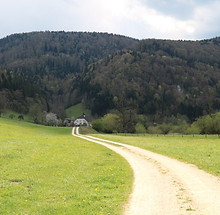 paysage_ajoie.jpeg