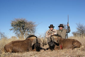 BLACK WILDEBEEST 14.jpg