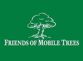 FOMT logo.jpg