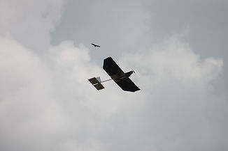 IMG_3568.JPG