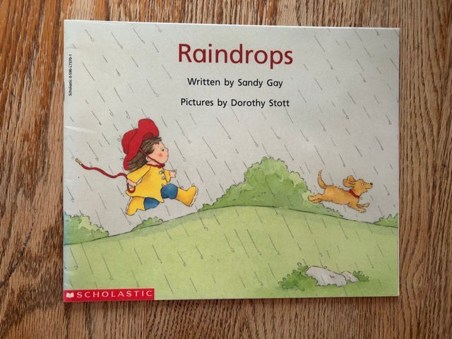 L11 Raindrops Reader Sandy Gay The Book Forage