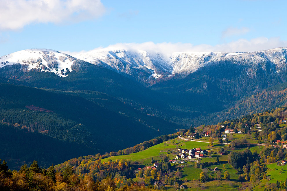 Paysage