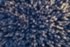 2503_visitestonia_nature_winter_forest_d