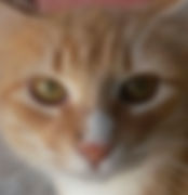 Loes.jpeg