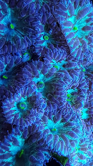 20170826_140501_edited.jpg