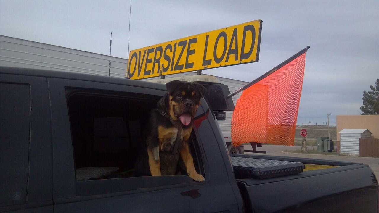 TMP Pilot Car Service