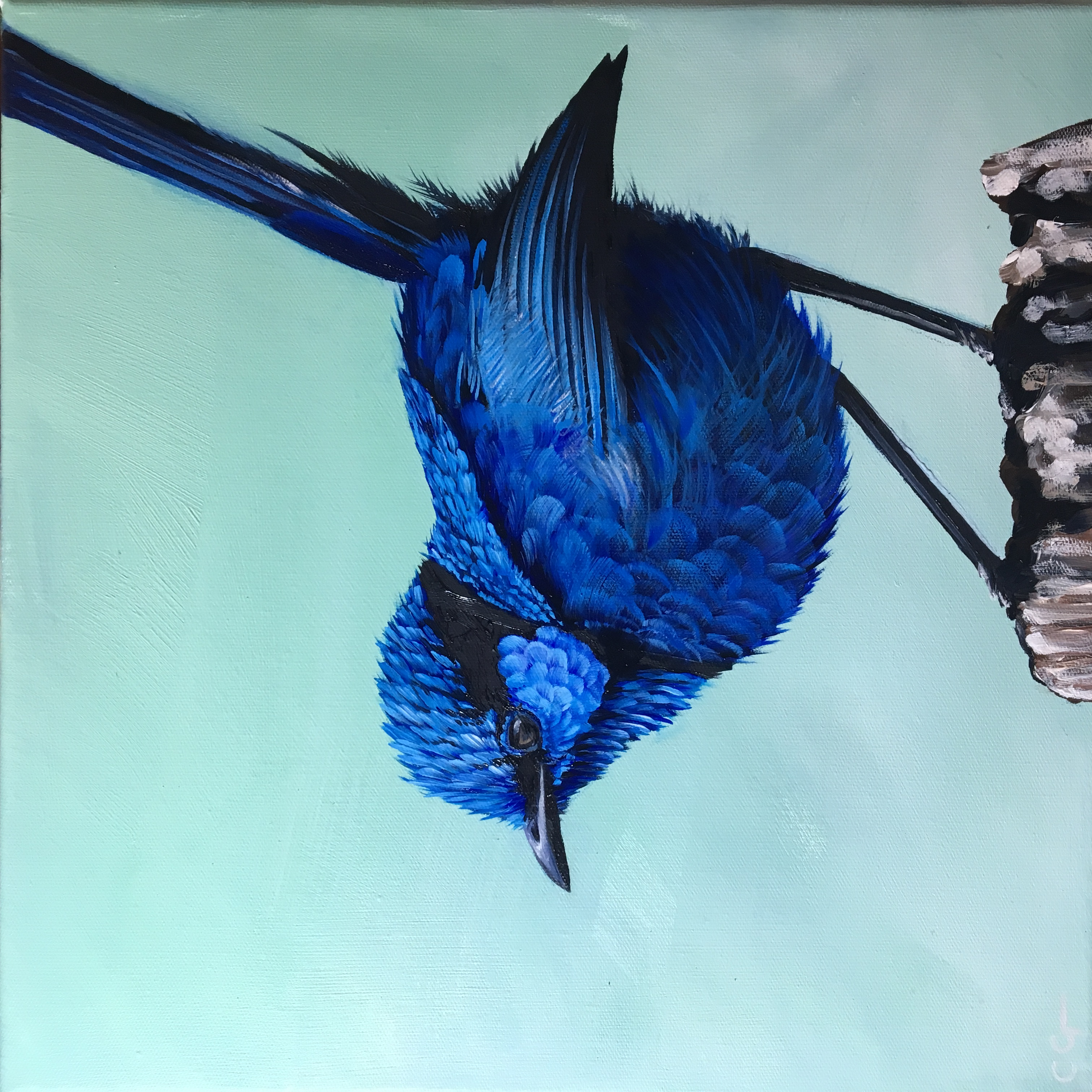 Wildlife Artist Carla Grace Paintings