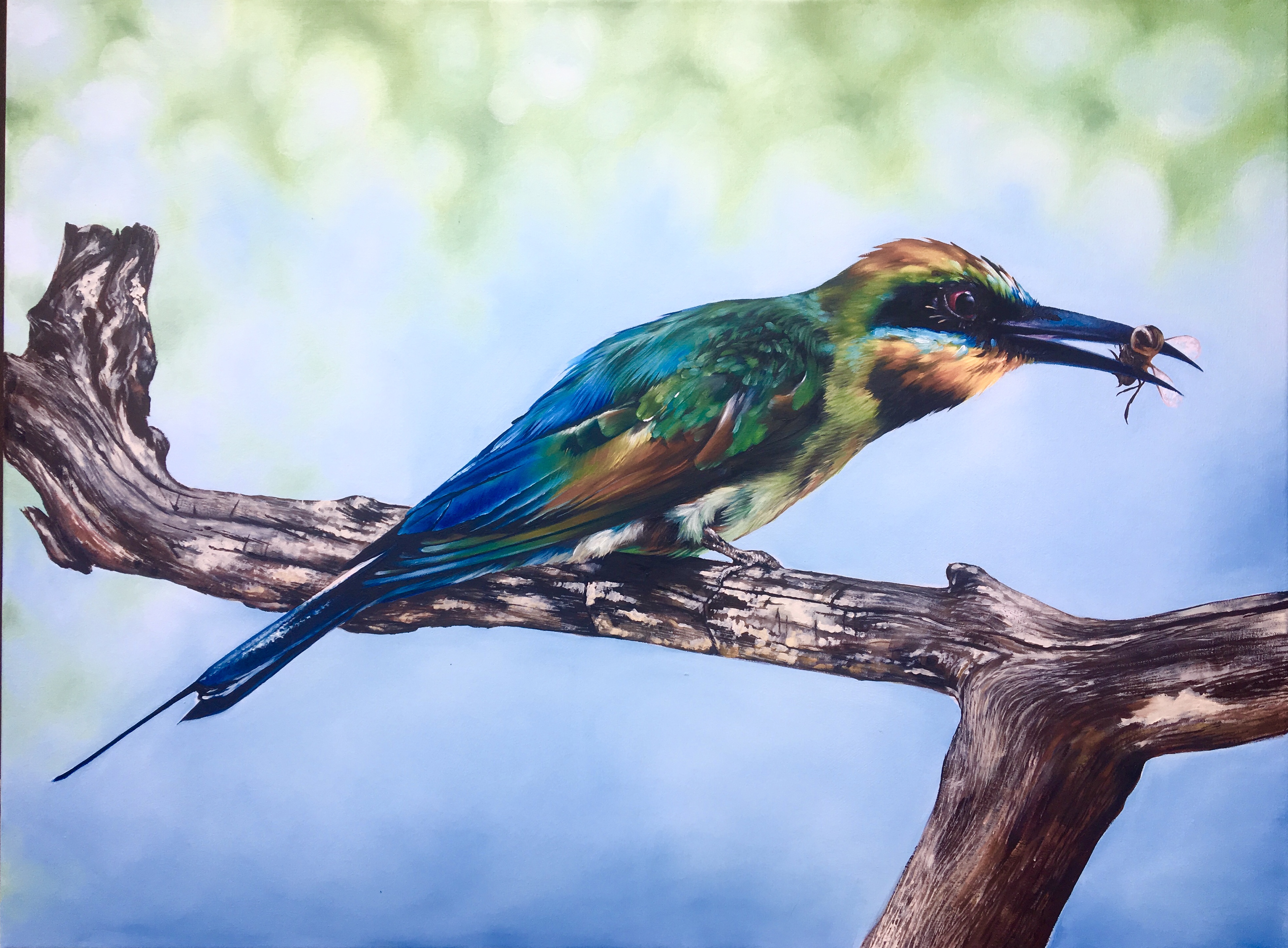 Wildlife Artist Carla Grace Paintings