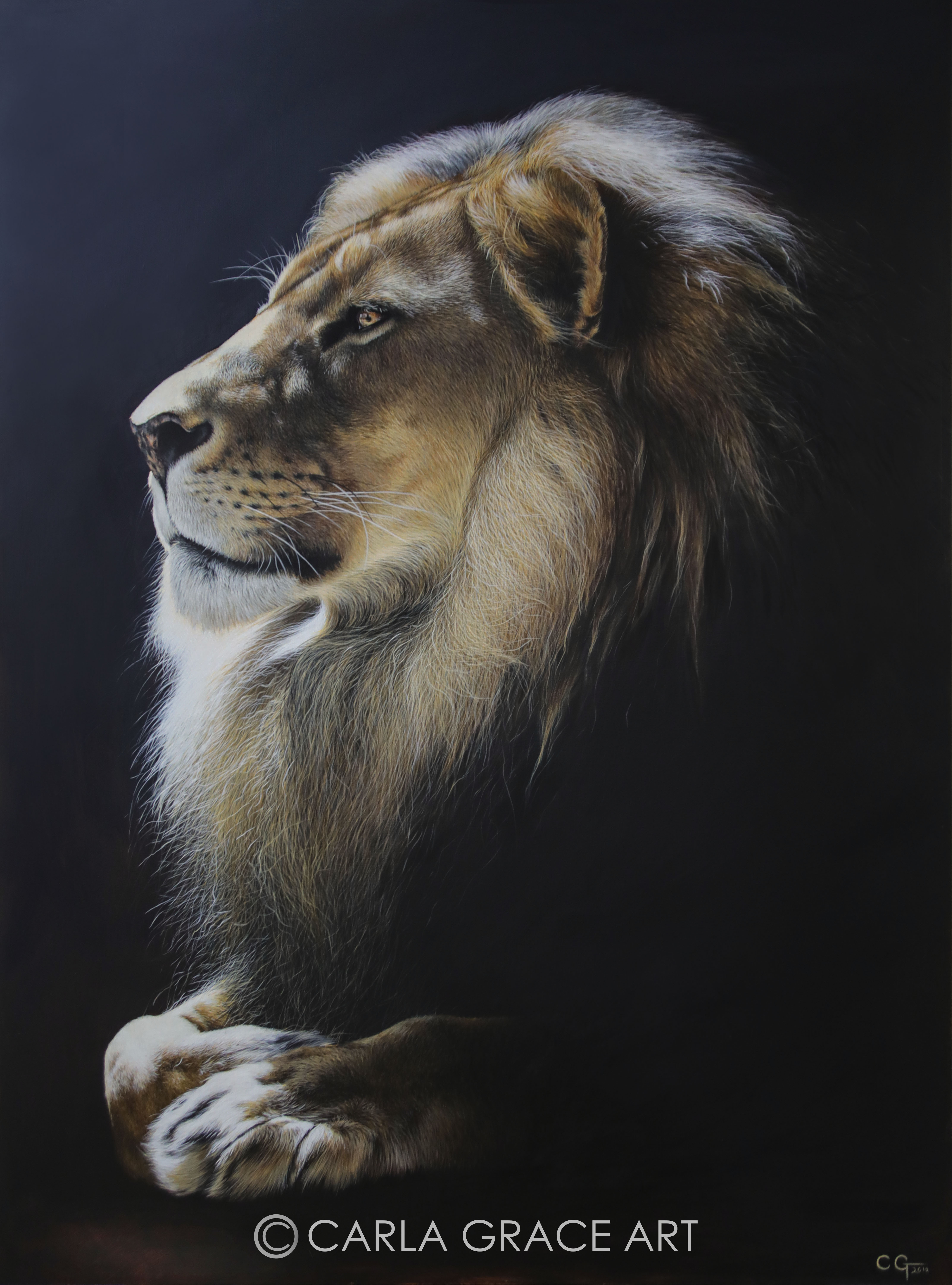 Wildlife Artist Carla Grace Paintings