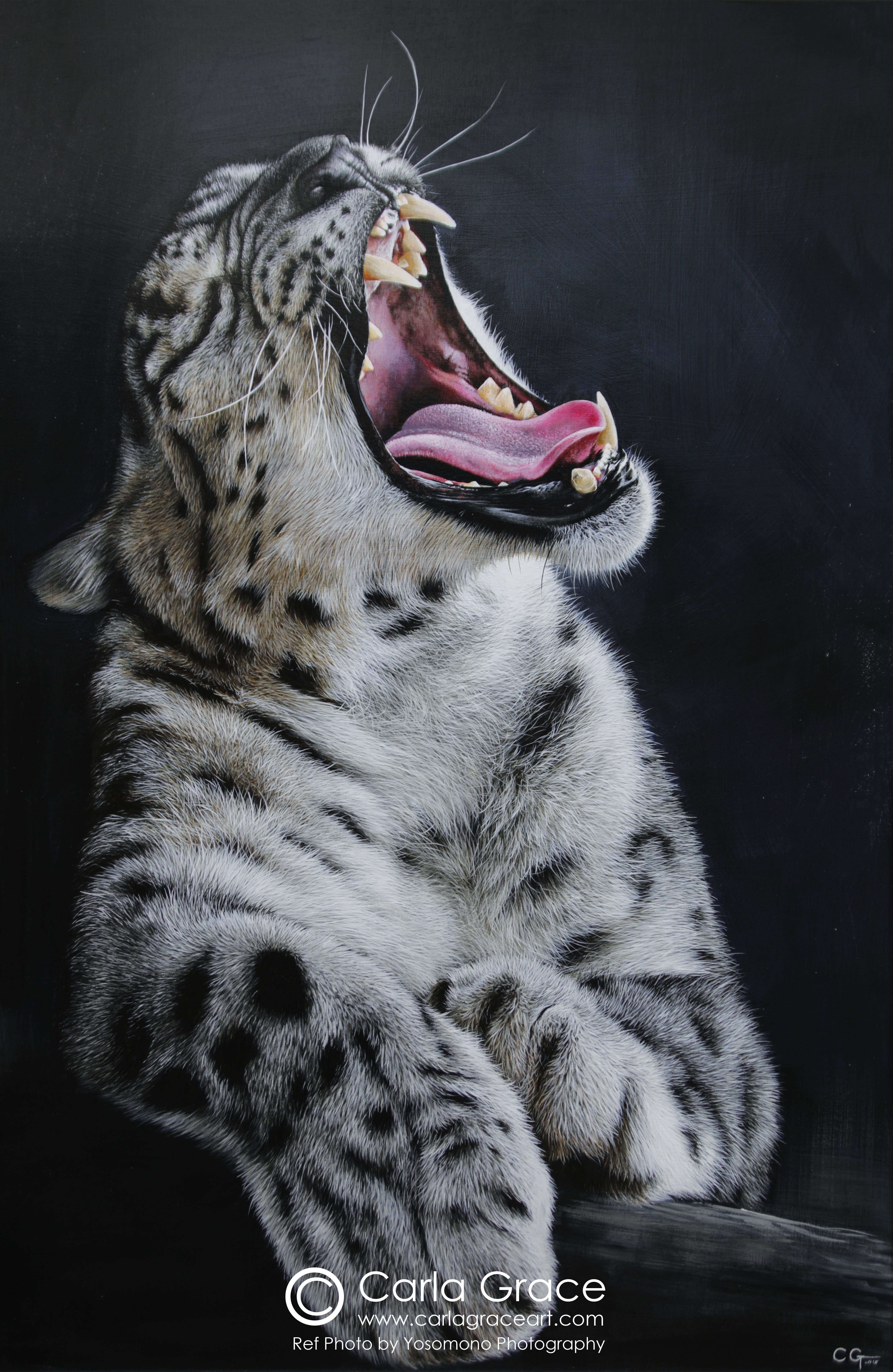 Wildlife Artist Carla Grace Paintings
