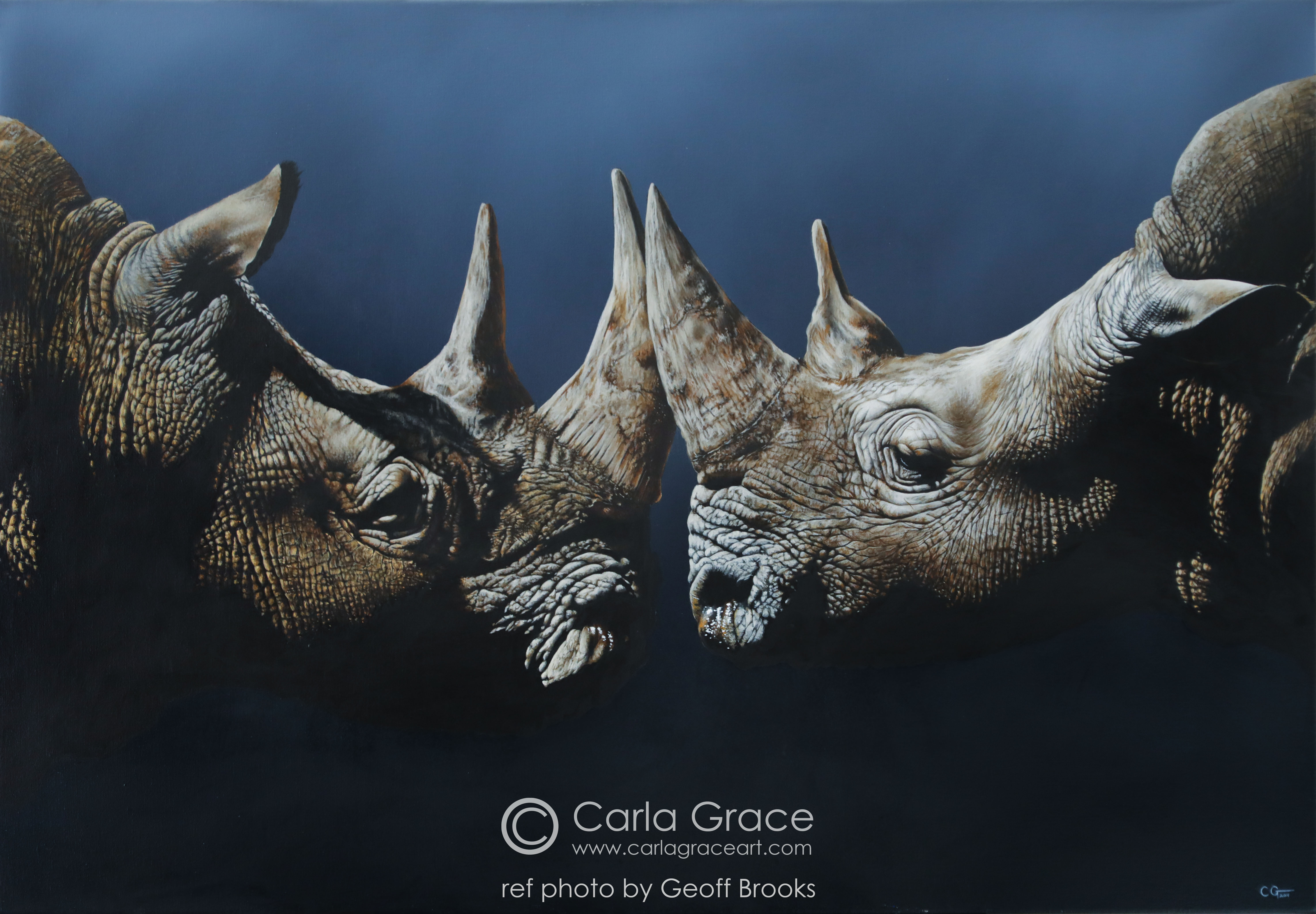 Wildlife Artist Carla Grace Paintings