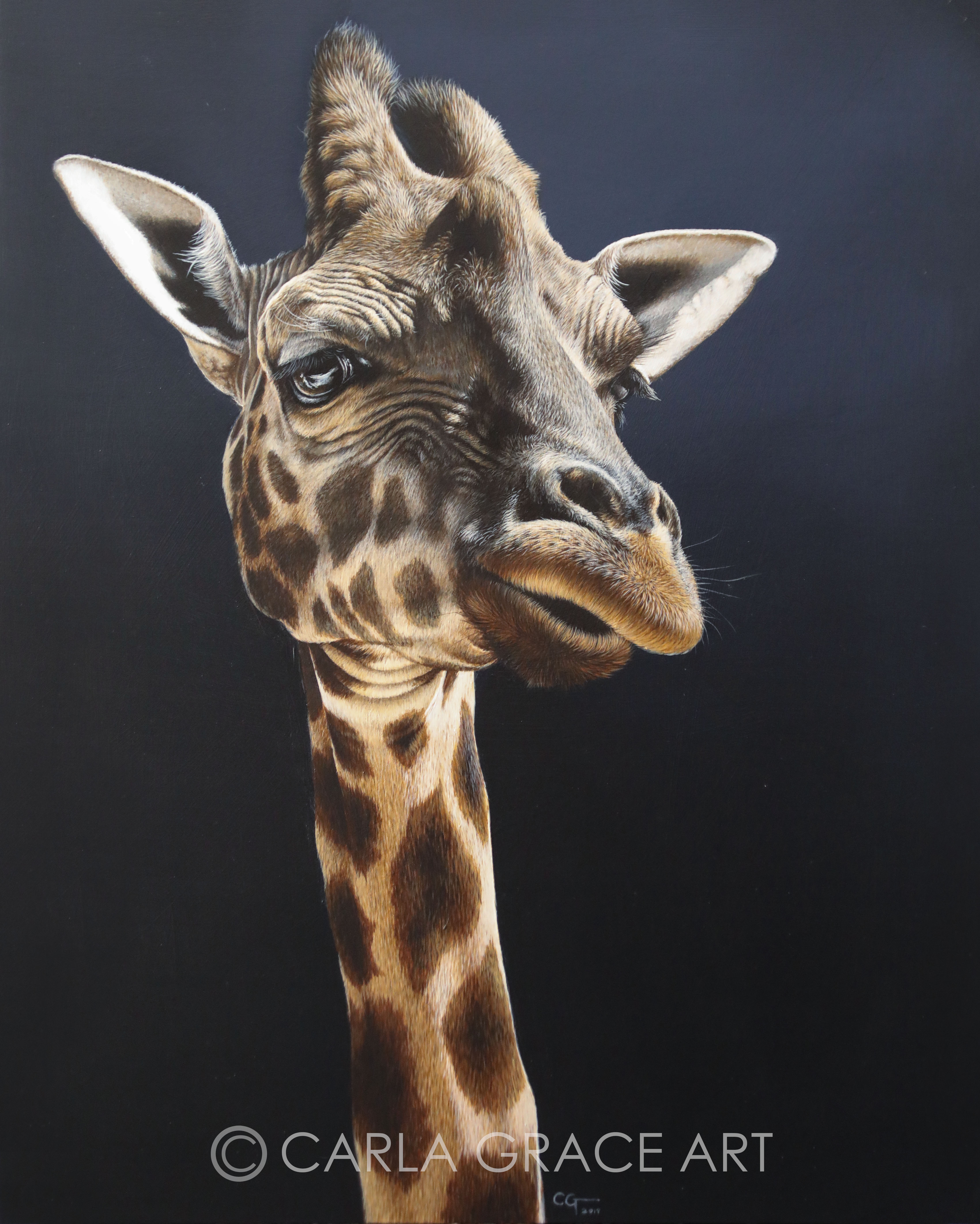 Wildlife Artist Carla Grace Paintings