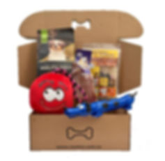 canbox-marzo-2020.jpeg