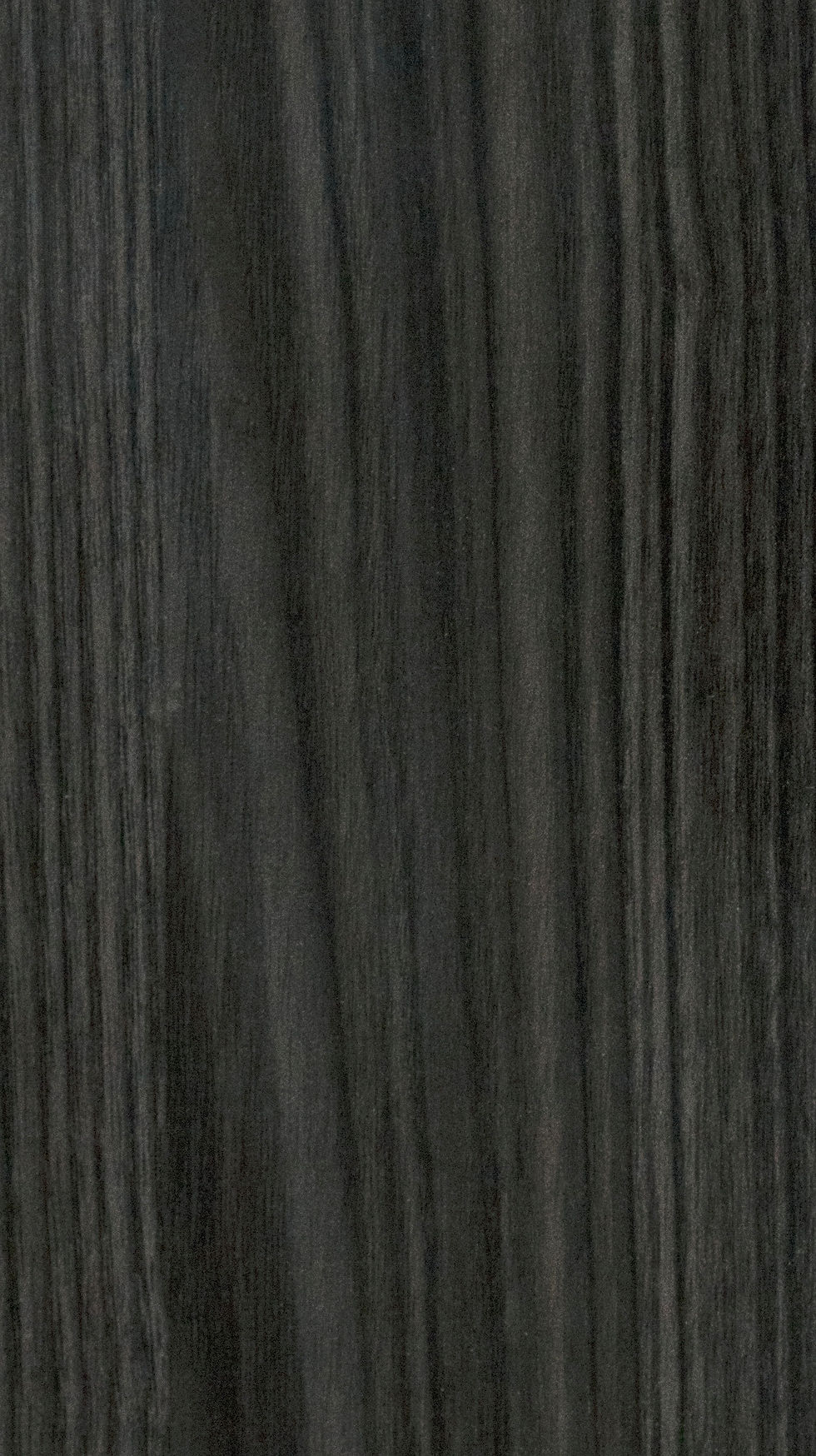 CARBON ROBLE