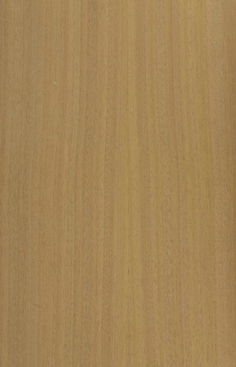 AFRICAN WALNUT