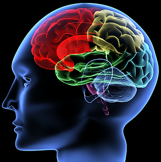media psychology