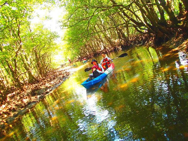 西表島アクティビティツアー 西表島アクティビティツアー