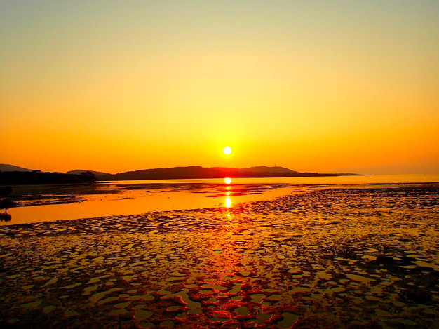 西表島アクティビティ 西表島アクティビティ