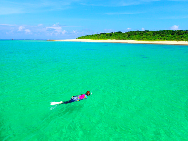 西表島シュノーケルツアー 西表島シュノーケルツアー