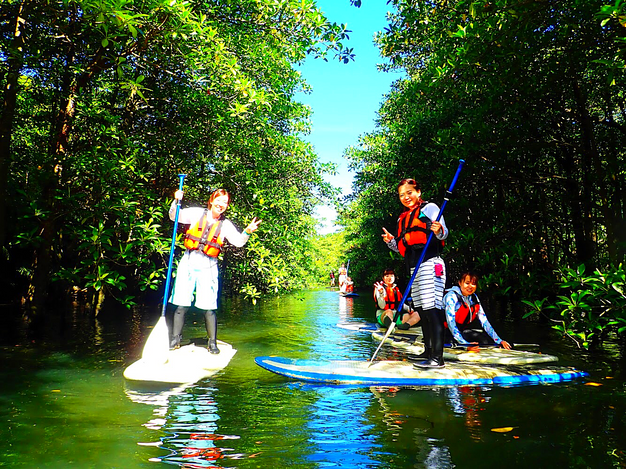 西表島おすすめアクティビティ 西表島おすすめアクティビティ