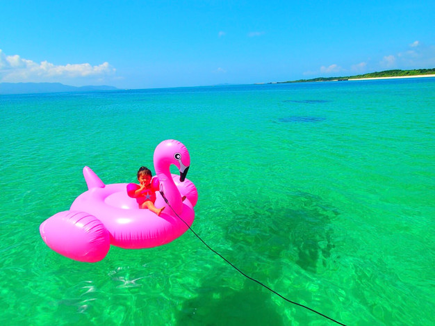 西表島シュノーケリングツアー 西表島シュノーケリングツアー