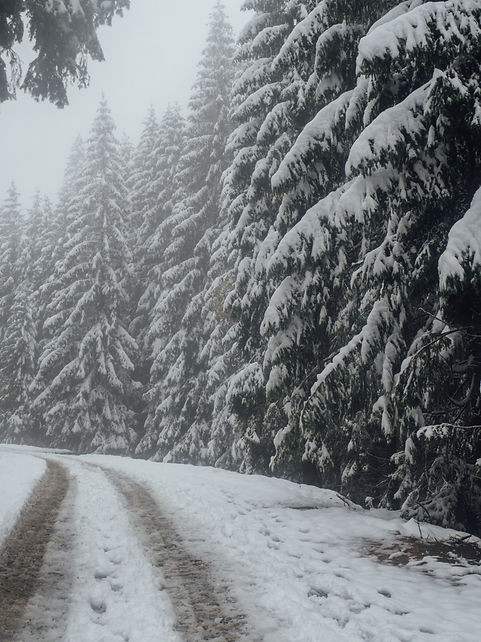 POLAND ZAKOPANE.jpeg