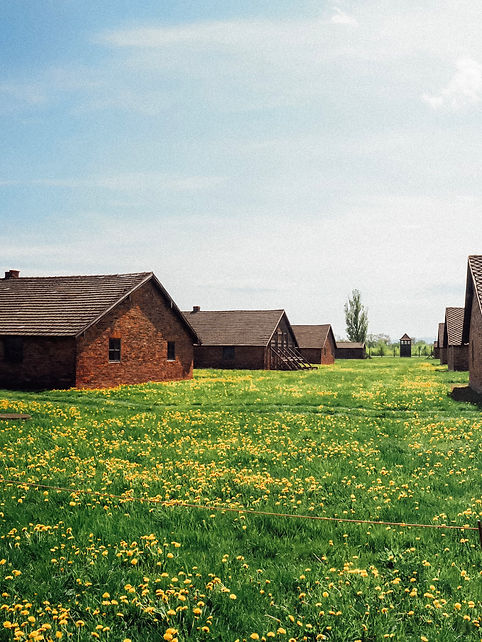 BIRKENAU TOUR.jpeg