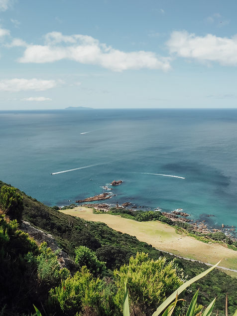 MOUNT MANGANUI.jpeg