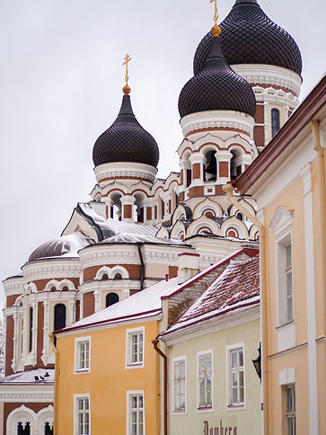 P2281240.jpg