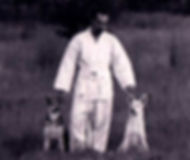 dogs 2.jpg