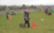 DogSchool (1 of 1)-29.jpg
