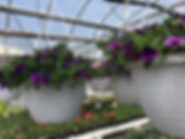 28.baskets_1135.jpg