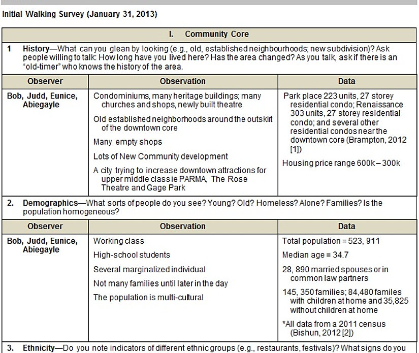 Community Assessment Advocacy Project Windshield Data