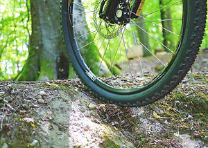 mountain-bike-841850_1920.jpg