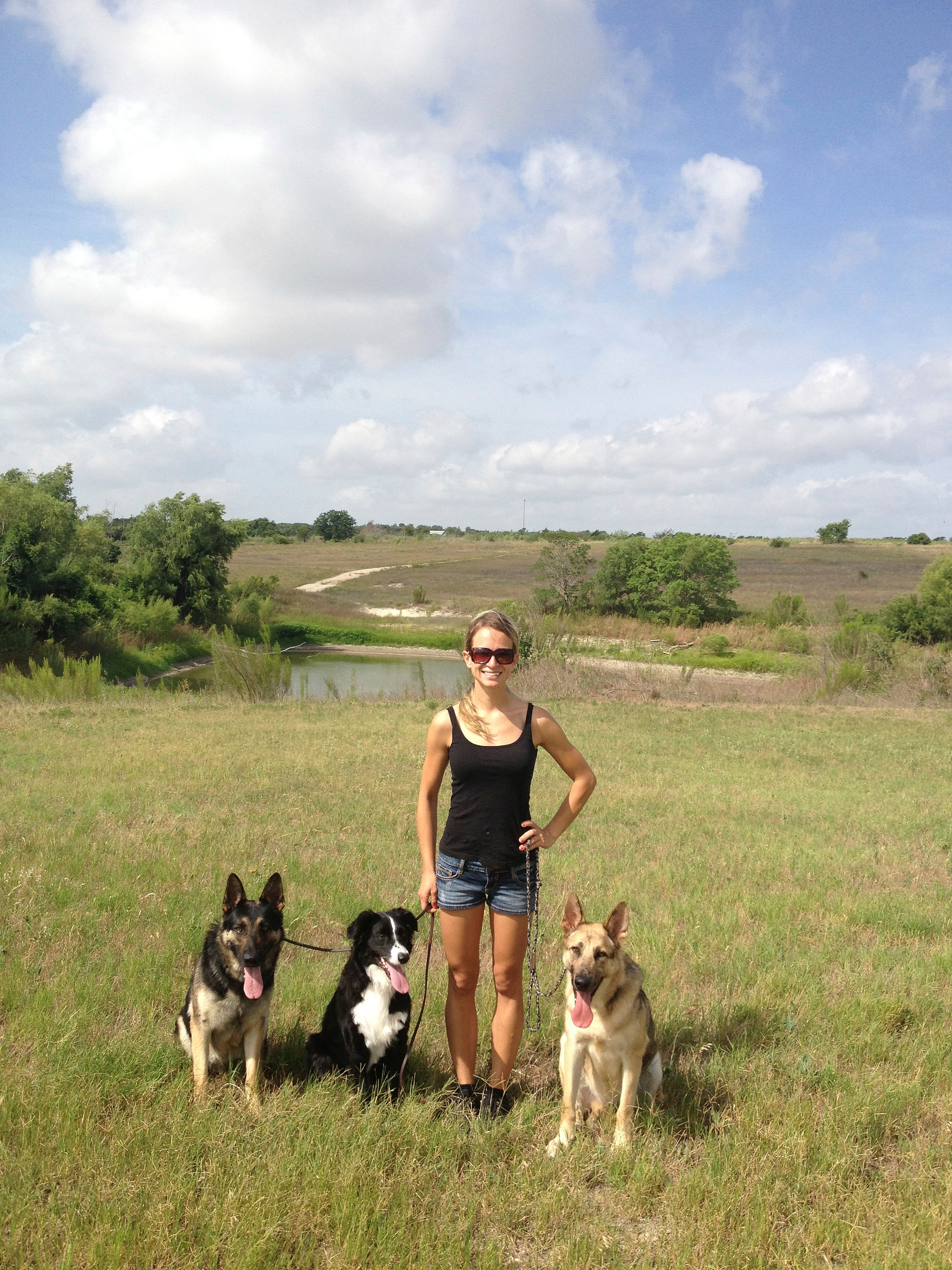 Valor K9 Academy | Chattanooga Dog Training