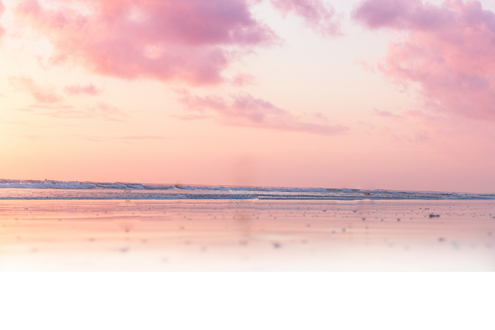PinkSeaBG_Transparent.png
