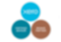 Xero, certified advisor, bronze partner