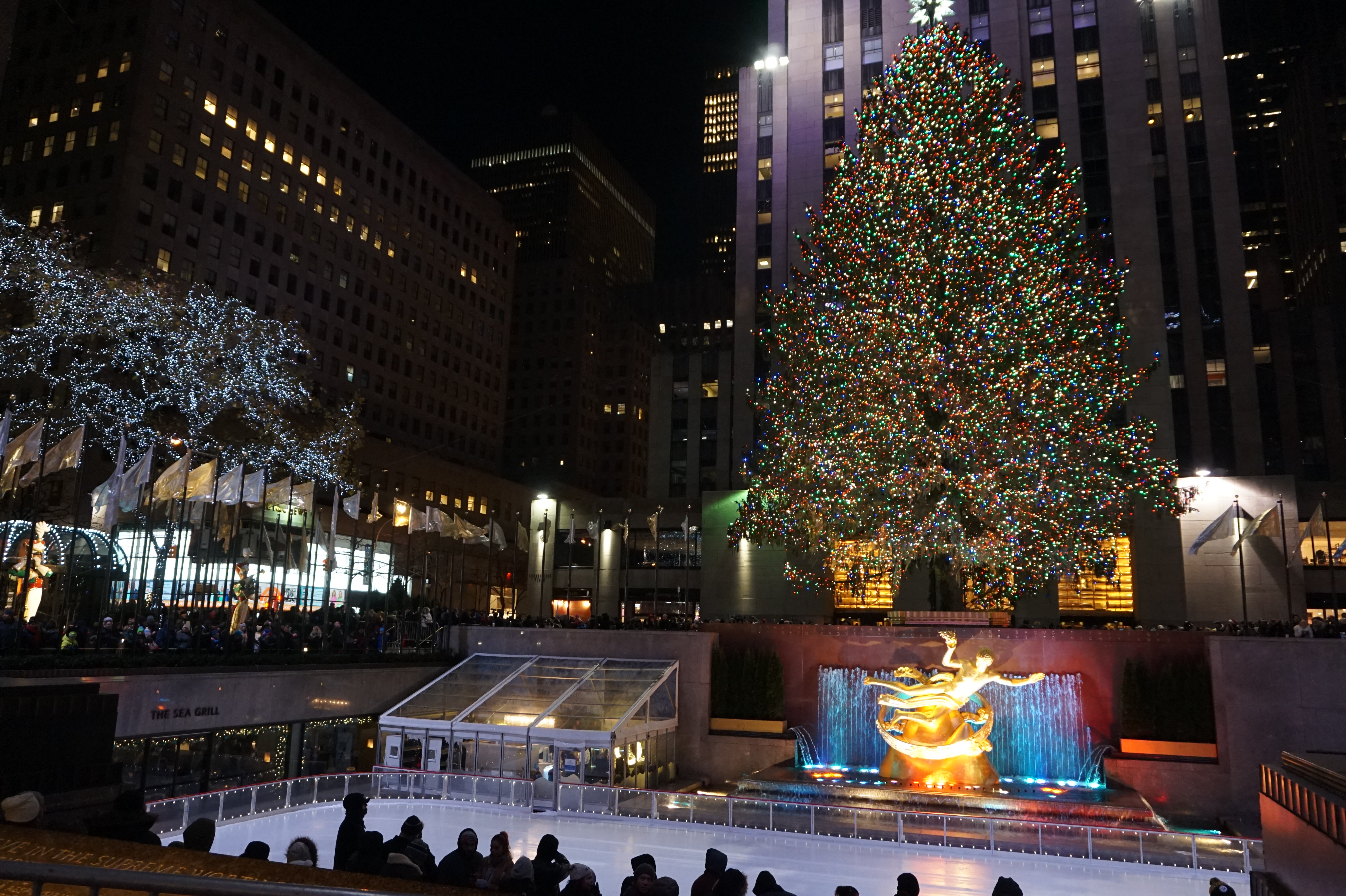 rockerfeller christmas tree rockefeller center new york ny 10111 usalink - Big Christmas Tree In New York rockerfeller christmas tree rockefeller center new york ny 10111 usalink - Big Christmas Tree In New York