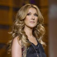 celine dion perruque
