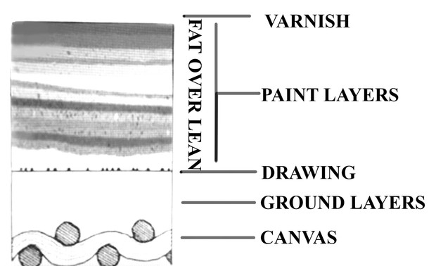  In accordance with the main rule in oil paint "the fat over lean" rule, lower layers must contain less fat (oil) and be less elastic and more rigid than the upper layers.